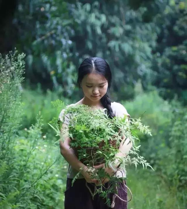 月亮视频下载视频下载